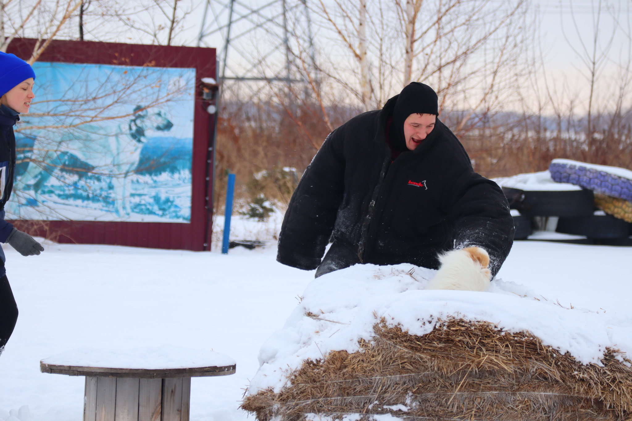 Dog training in Omsk - OCSSSS 11/16/24 - Dog, Puppies, Omsk, Training, Г“Г±Г±Г±, Friend, Care, Kindness, Dog breeding, Friends, Longpost