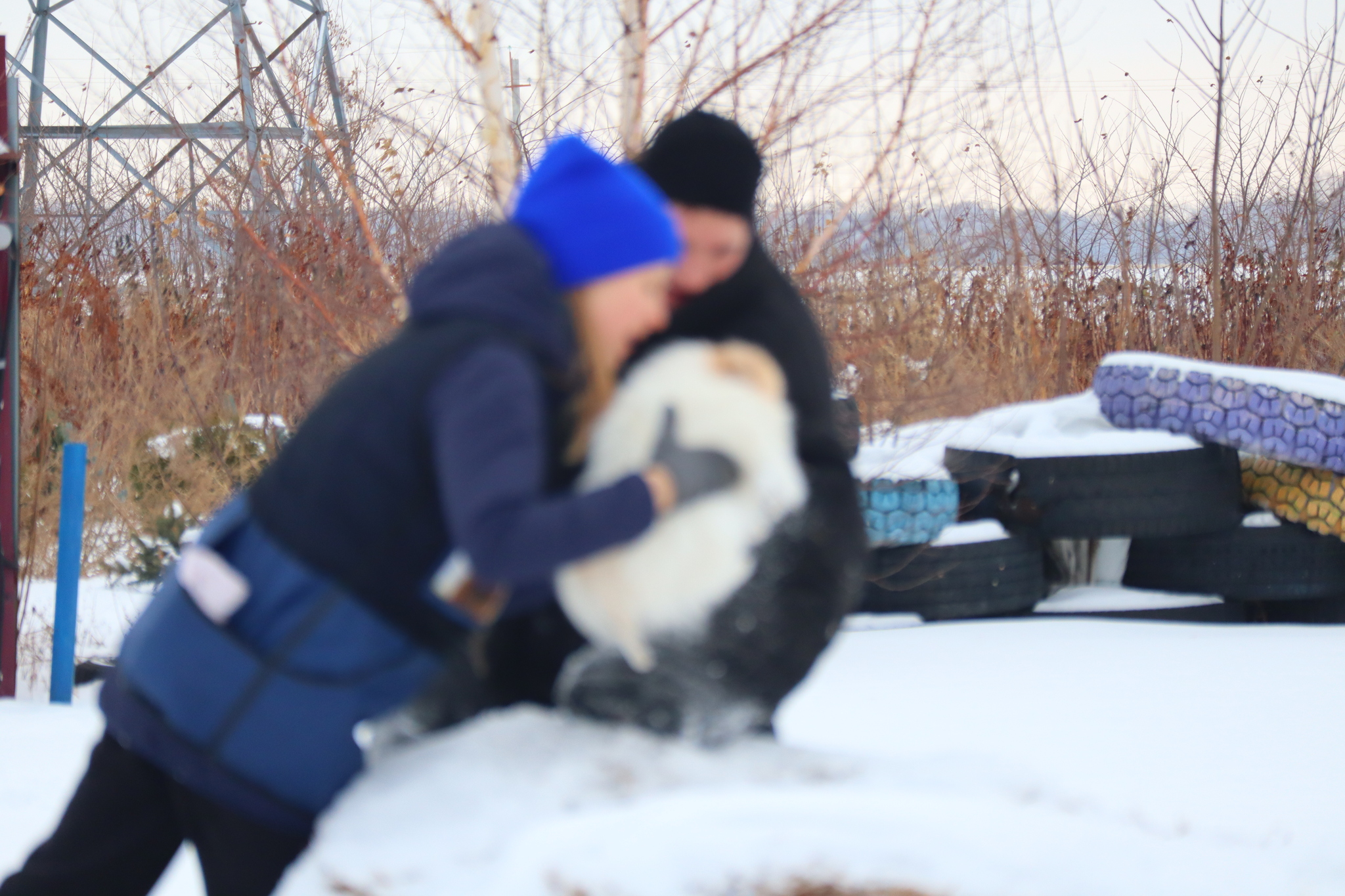 Dog training in Omsk - OCSSSS 11/16/24 - Dog, Puppies, Omsk, Training, Г“Г±Г±Г±, Friend, Care, Kindness, Dog breeding, Friends, Longpost