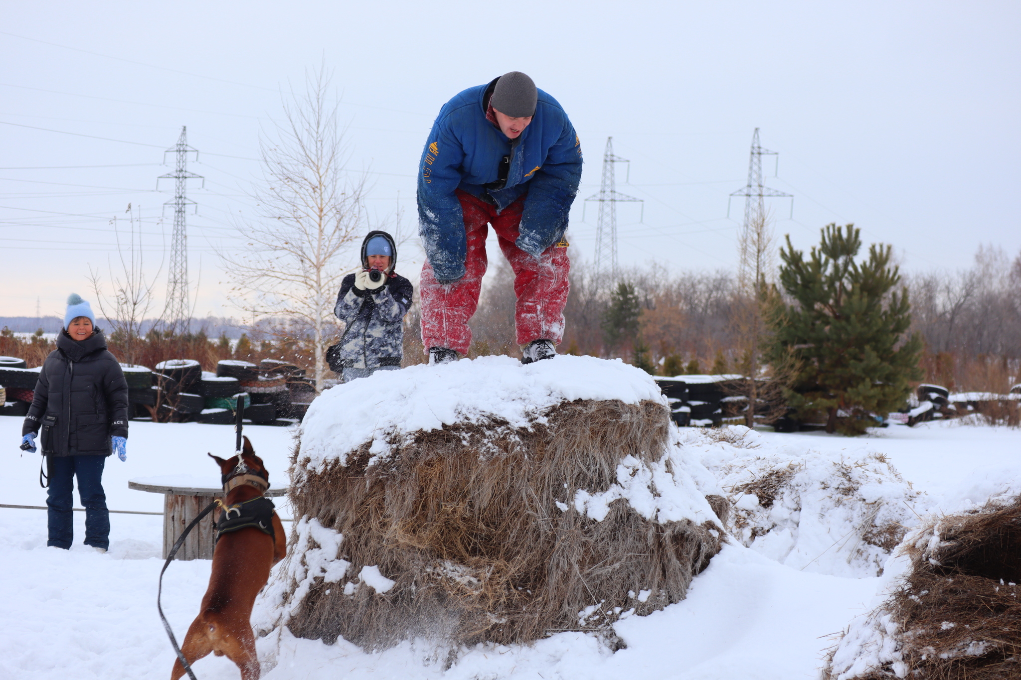 Dog training in Omsk - OCSSSS 11/16/24 - Dog, Puppies, Omsk, Training, Г“Г±Г±Г±, Friend, Care, Kindness, Dog breeding, Friends, Longpost