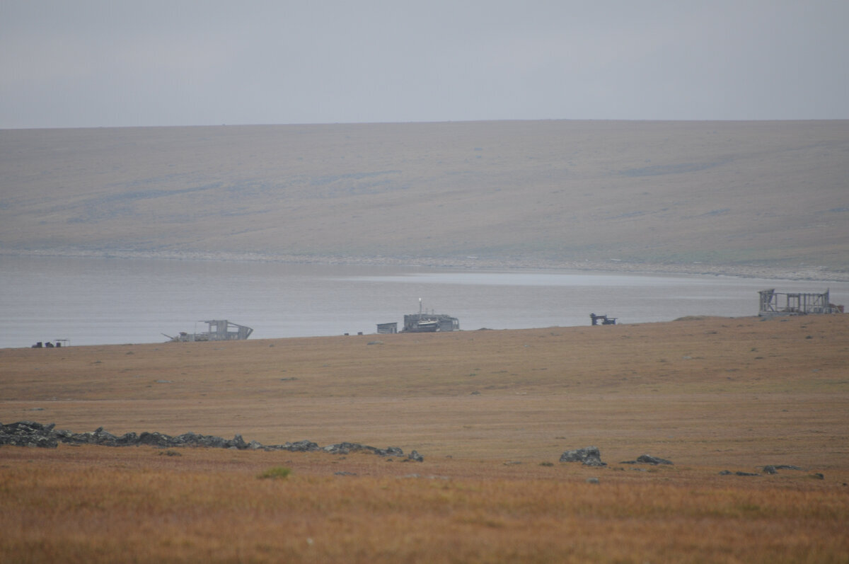 Whale watcher's diary. Yeremeyev Peninsula, Biruli - My, North, Travel across Russia, Travels, Sea, Arctic, Deer, Polar bear, Longpost