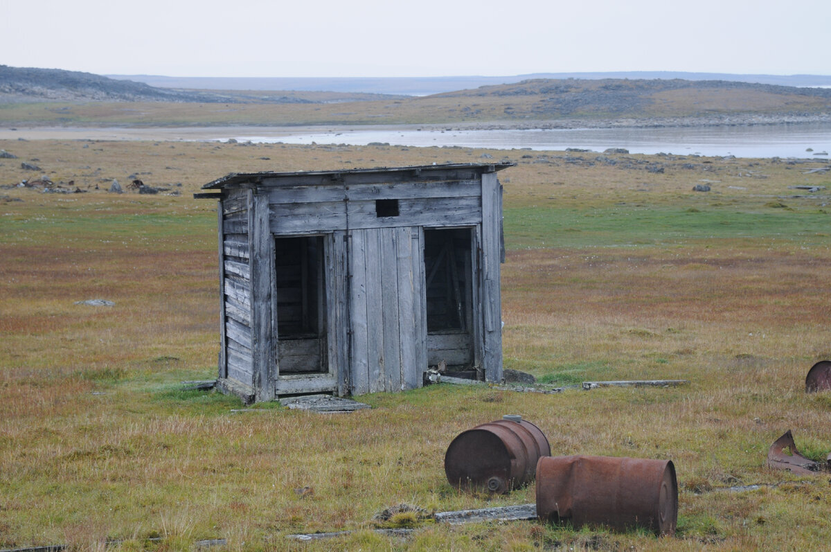 Whale watcher's diary. Yeremeyev Peninsula, Biruli - My, North, Travel across Russia, Travels, Sea, Arctic, Deer, Polar bear, Longpost