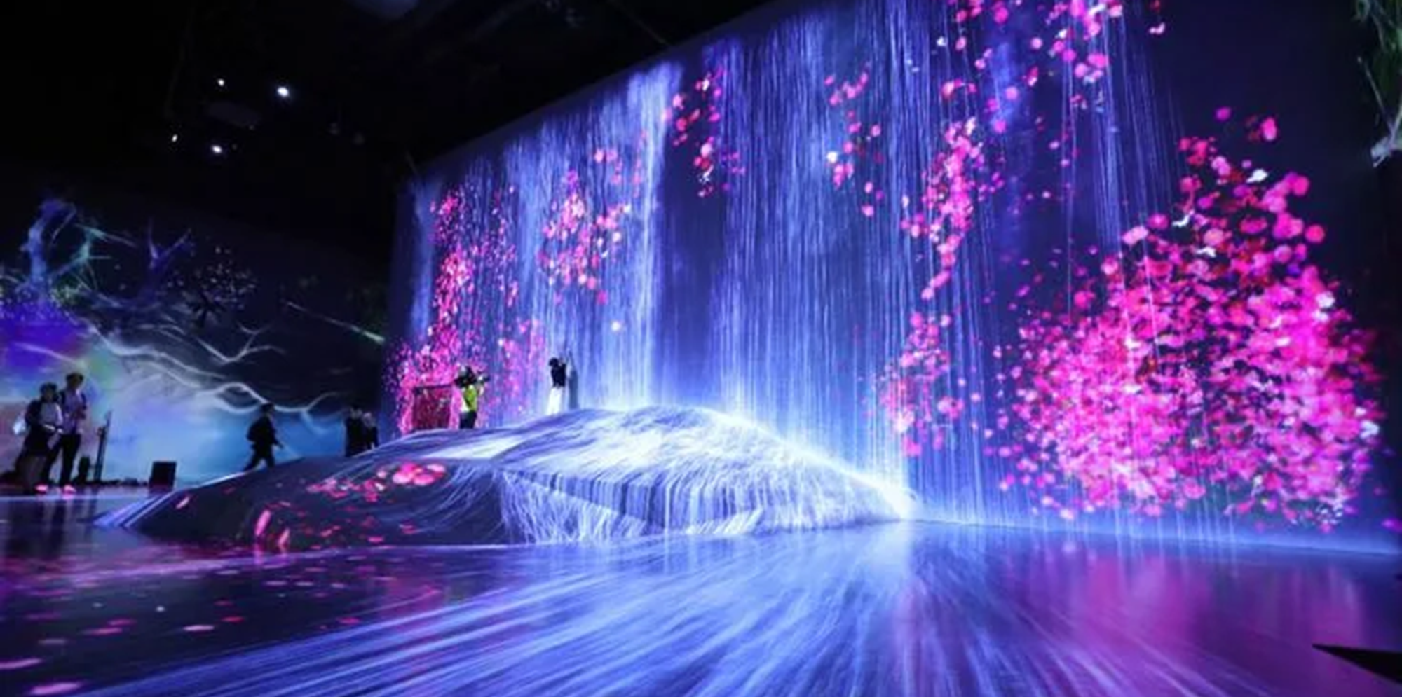 Музей цифрового искусства TeamLab, Токио - Моё, Научпоп, Наука, Ученые, Цветение, Цивилизация, Биология, Эволюция, Планета Земля, Общество, Исследования, Критическое мышление, Вселенная, Земля, Планета, Мир, Эзотерика, Человек, Длиннопост