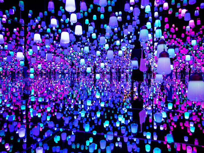 Музей цифрового искусства TeamLab, Токио - Моё, Научпоп, Наука, Ученые, Цветение, Цивилизация, Биология, Эволюция, Планета Земля, Общество, Исследования, Критическое мышление, Вселенная, Земля, Планета, Мир, Эзотерика, Человек, Длиннопост