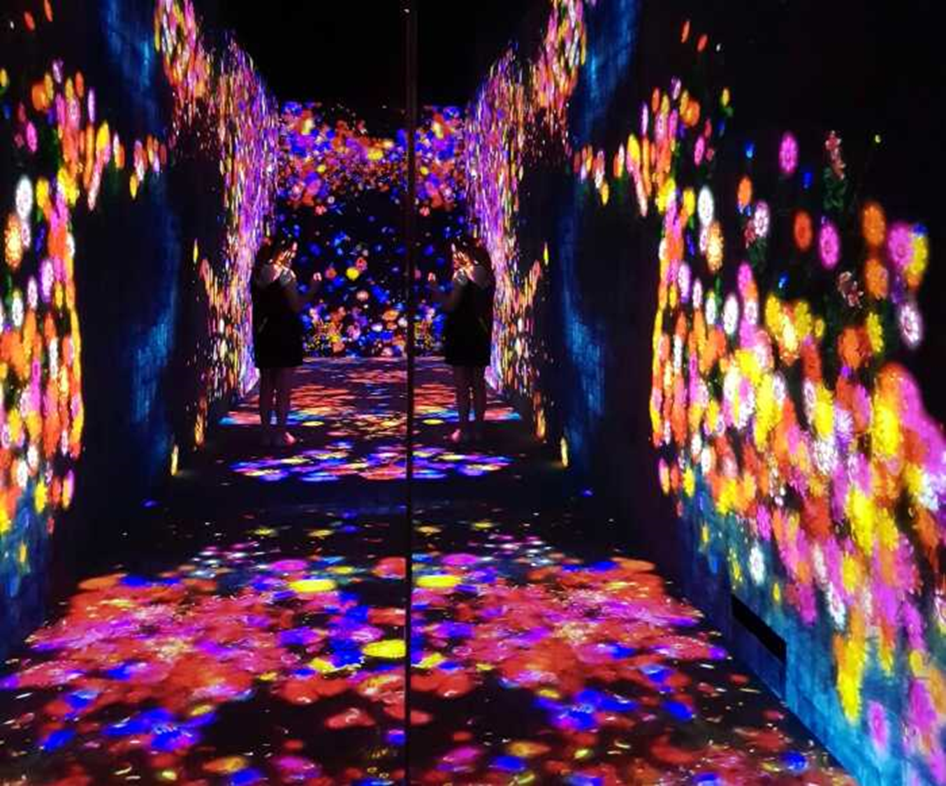 Музей цифрового искусства TeamLab, Токио - Моё, Научпоп, Наука, Ученые, Цветение, Цивилизация, Биология, Эволюция, Планета Земля, Общество, Исследования, Критическое мышление, Вселенная, Земля, Планета, Мир, Эзотерика, Человек, Длиннопост