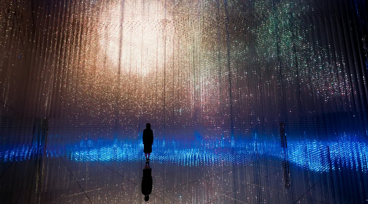 Музей цифрового искусства TeamLab, Токио - Моё, Научпоп, Наука, Ученые, Цветение, Цивилизация, Биология, Эволюция, Планета Земля, Общество, Исследования, Критическое мышление, Вселенная, Земля, Планета, Мир, Эзотерика, Человек, Длиннопост