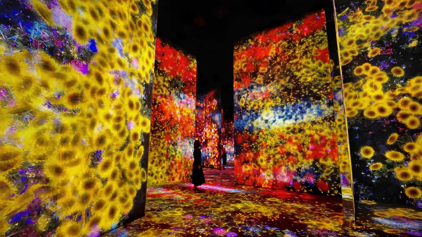 Музей цифрового искусства TeamLab, Токио - Моё, Научпоп, Наука, Ученые, Цветение, Цивилизация, Биология, Эволюция, Планета Земля, Общество, Исследования, Критическое мышление, Вселенная, Земля, Планета, Мир, Эзотерика, Человек, Длиннопост