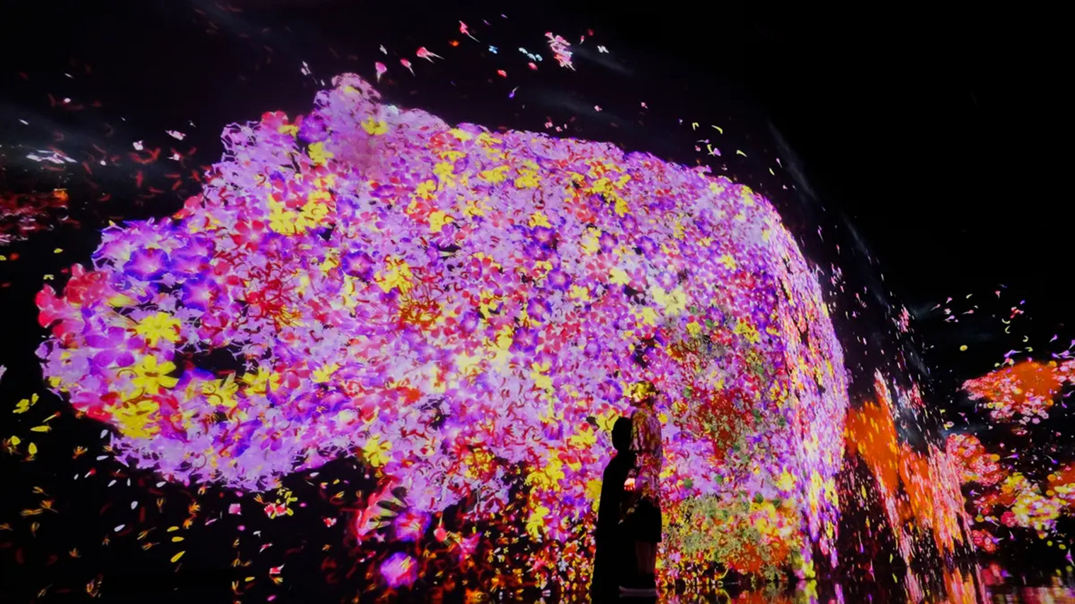 Музей цифрового искусства TeamLab, Токио - Моё, Научпоп, Наука, Ученые, Цветение, Цивилизация, Биология, Эволюция, Планета Земля, Общество, Исследования, Критическое мышление, Вселенная, Земля, Планета, Мир, Эзотерика, Человек, Длиннопост