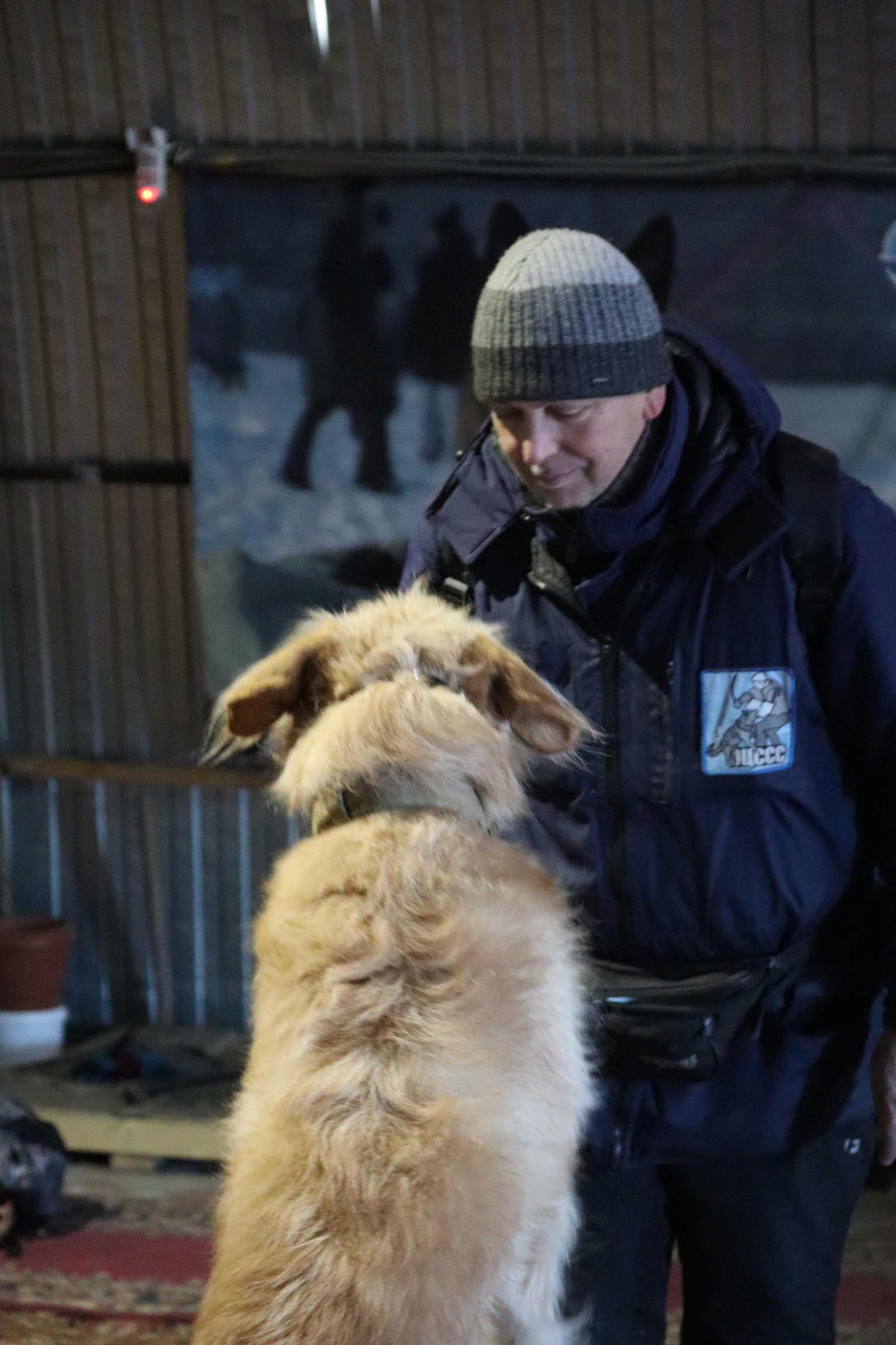 Dog training in Omsk - OCSSSS 11/23/24 - Dog, Puppies, Omsk, Training, Г“Г±Г±Г±, Friend, Care, Kindness, Dog breeding, Friends, Dog lovers, Longpost