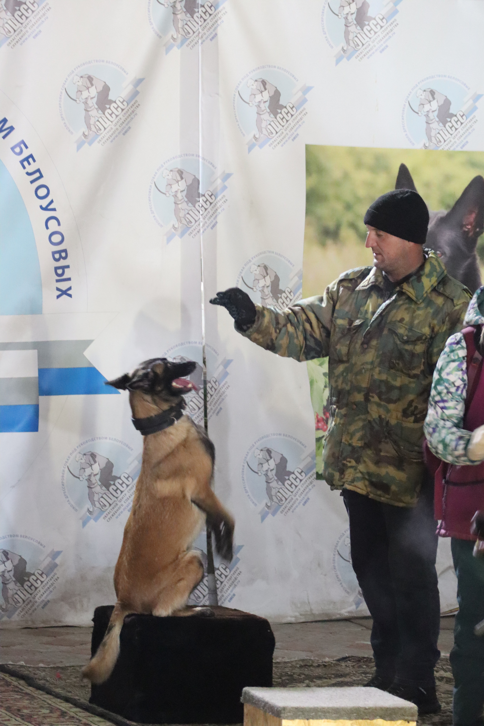 Dog training in Omsk - OCSSSS 11/23/24 - Dog, Puppies, Omsk, Training, Г“Г±Г±Г±, Friend, Care, Kindness, Dog breeding, Friends, Dog lovers, Longpost