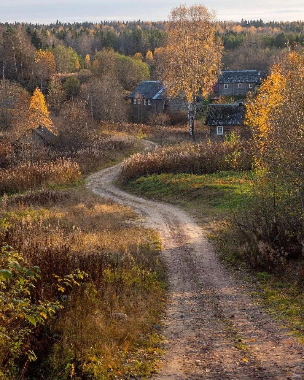 Autumn road - Road, Autumn, The photo, Village