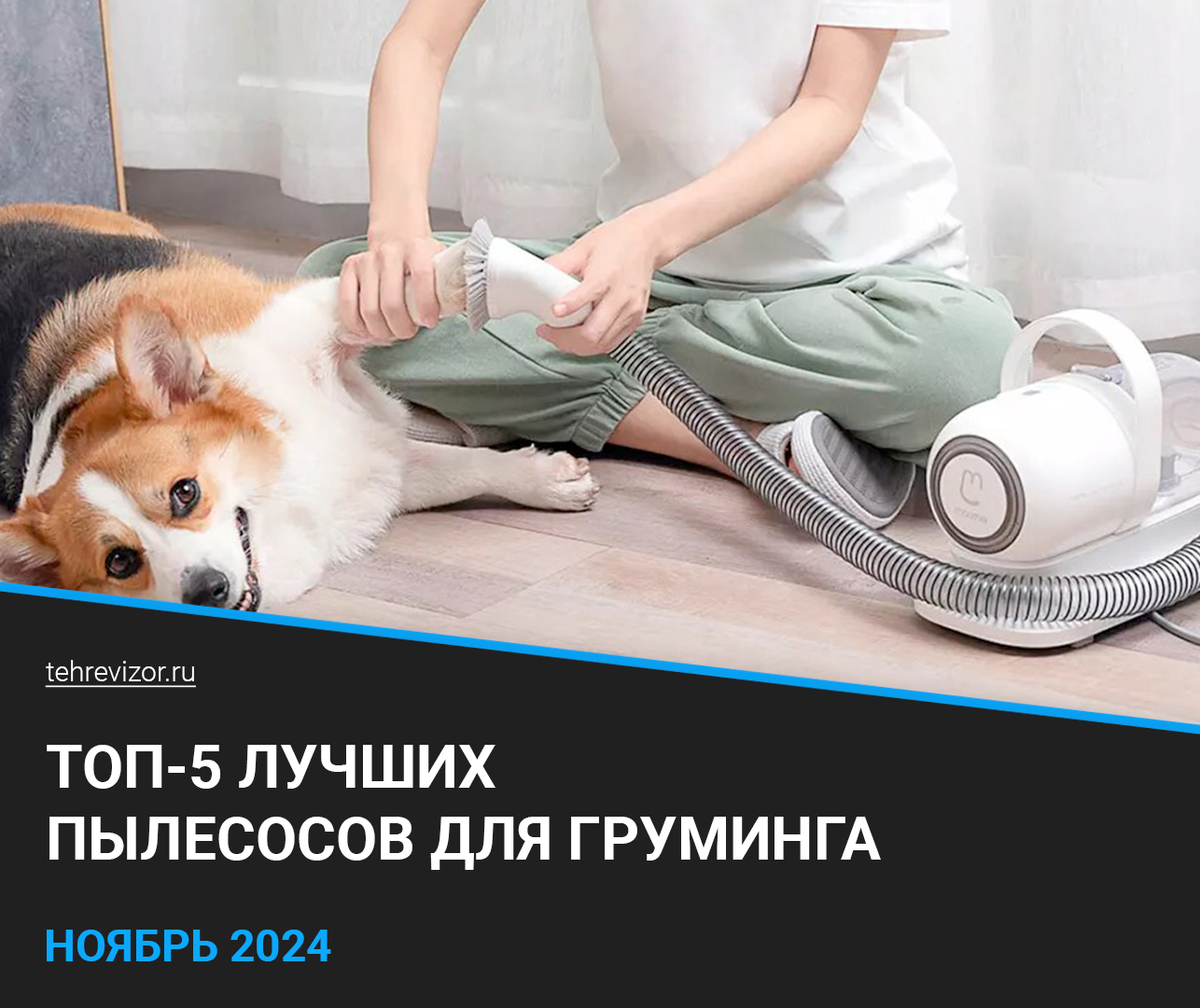 The best vacuum cleaners for grooming dogs and cats: TOP-5 rating of 2024 - Products, Yandex Market, Grooming, Стрижка, Drying, Pets, cat, Dog, Cat lovers, Marketplace, Longpost