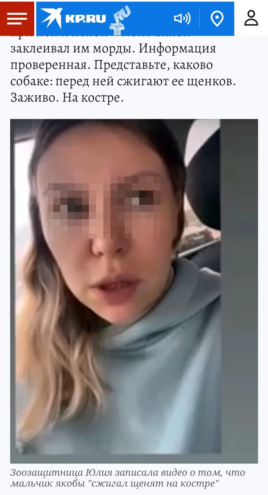 Where is the apology?? - Radical animal protection, Stray dogs, Dog attack, VKontakte (link), Video, Video VK, Longpost, Skoibeda, Slander, Screenshot, Text