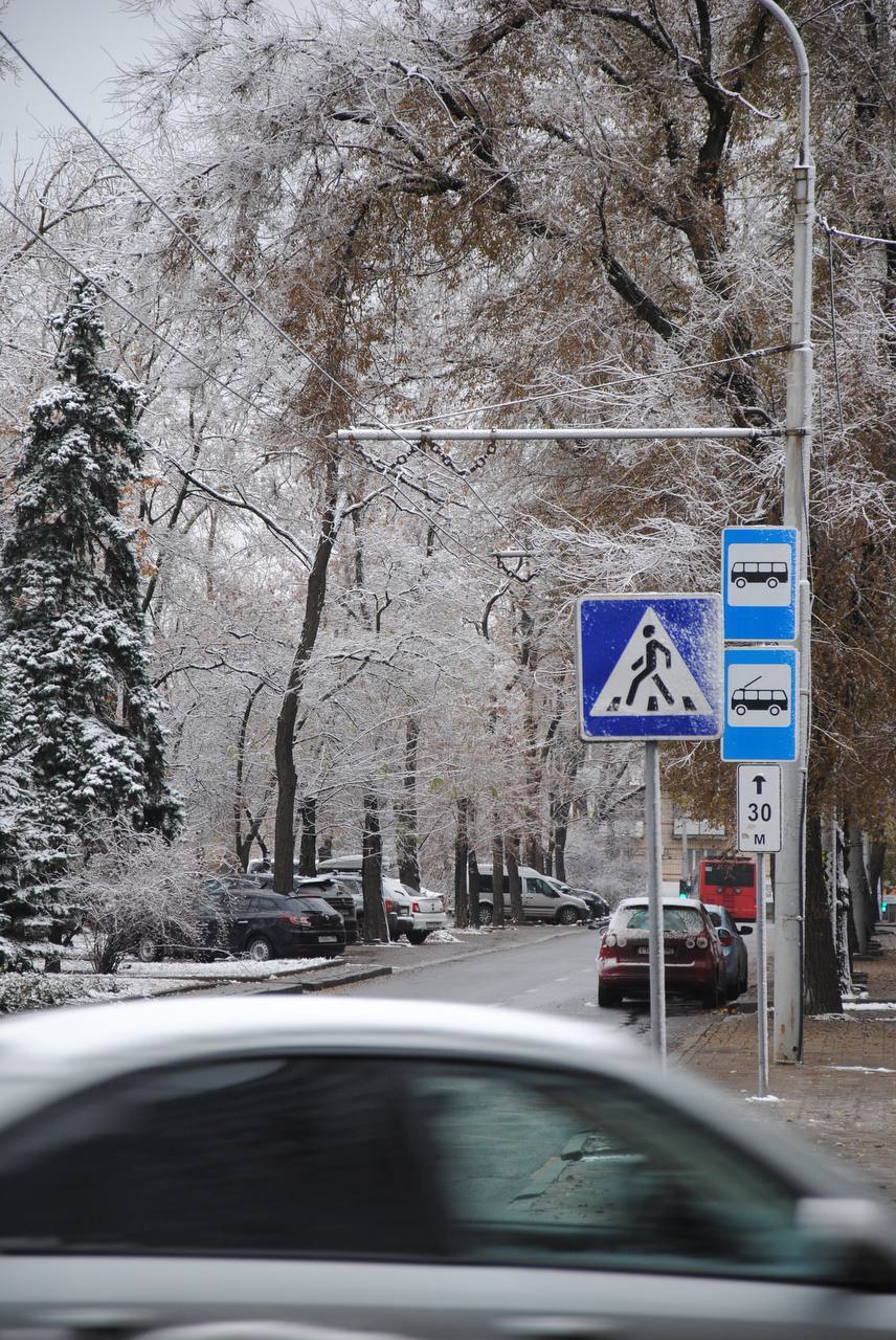 Снег в Донецке - Моё, Донецк, ДНР, Снег, Длиннопост