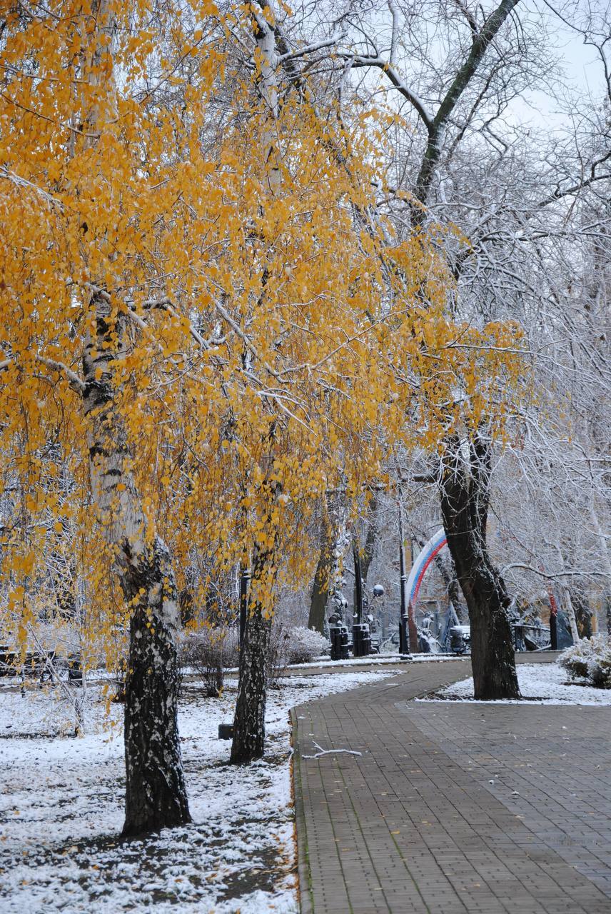 Снег в Донецке - Моё, Донецк, ДНР, Снег, Длиннопост