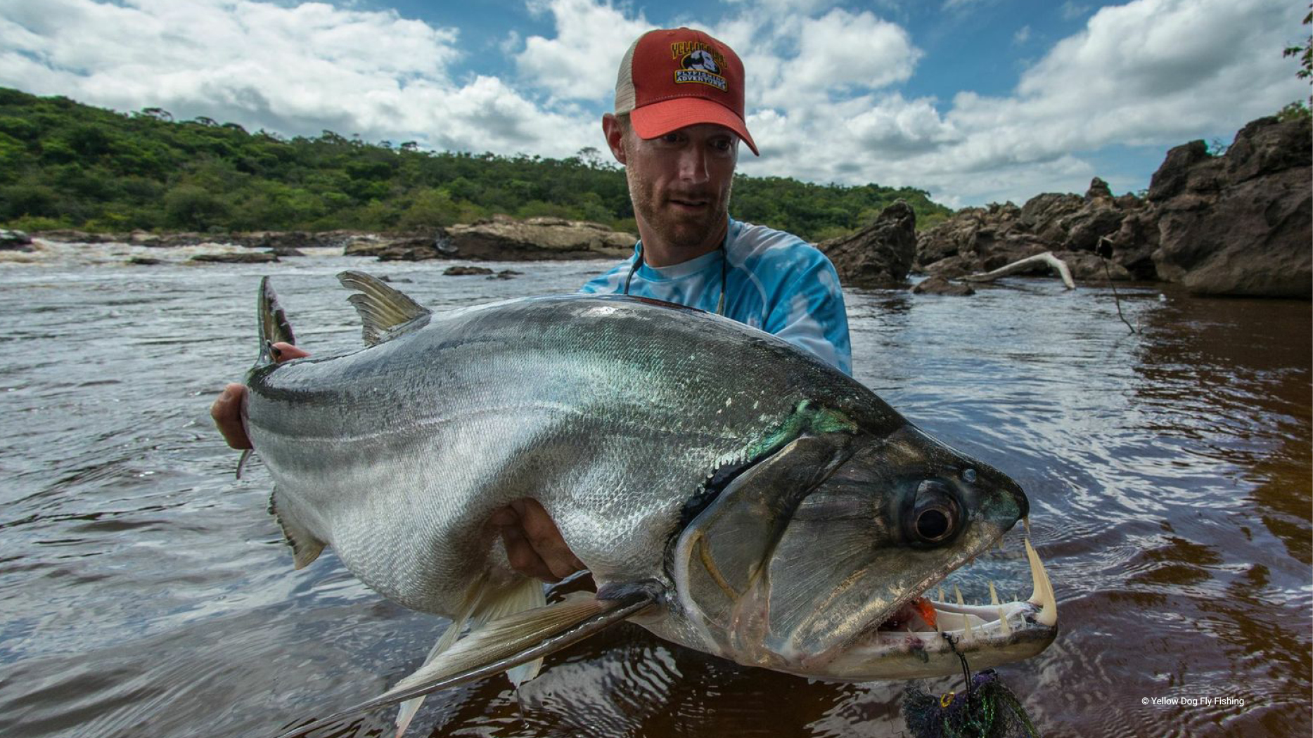 Toothy monster living in the river - My, Around the world, Biology, Nature, Animals, In the animal world, A fish, Fishing, The photo, Longpost, Water, Marine life, River