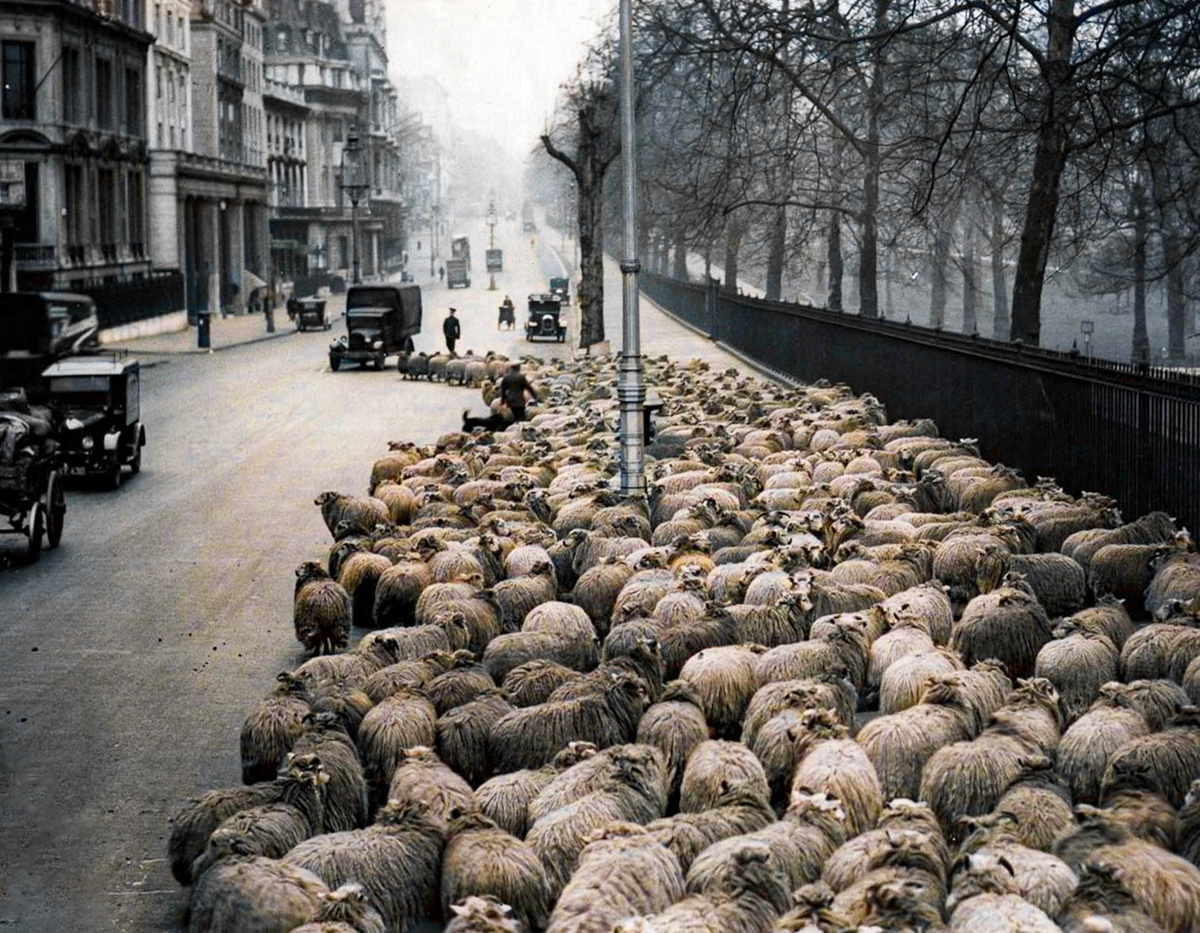 Curious Photos from Britain's Past. 20 Colorized Photographs of the 20th Century. Part VIII - My, Old photo, The photo, Historical photo, Great Britain, 20th century, Colorization, England, London, Longpost