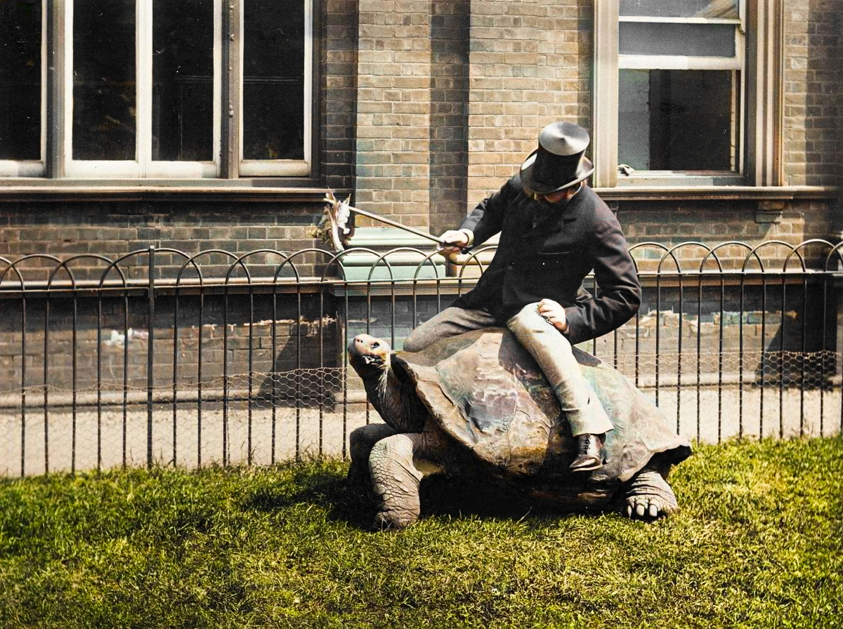 Curious Photos from Britain's Past. 20 Colorized Photographs of the 20th Century. Part VIII - My, Old photo, The photo, Historical photo, Great Britain, 20th century, Colorization, England, London, Longpost