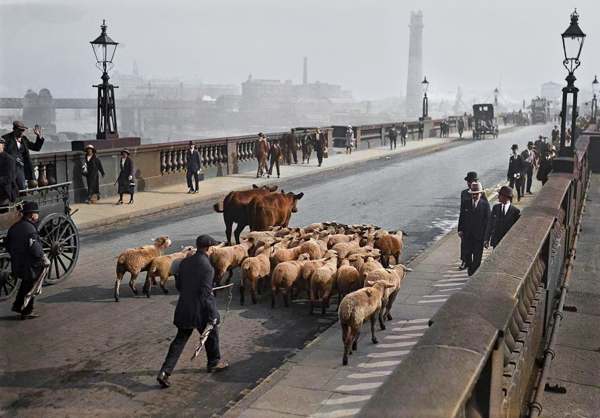 Curious Photos from Britain's Past. 20 Colorized Photographs of the 20th Century. Part VIII - My, Old photo, The photo, Historical photo, Great Britain, 20th century, Colorization, England, London, Longpost