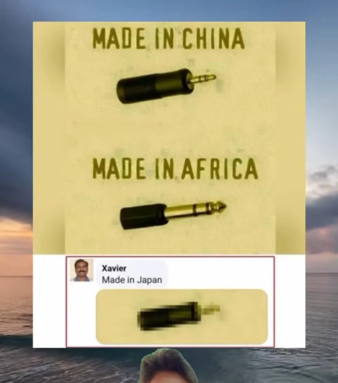 Audio plugs according to international standards - Humor, Plug, Plugs, Memes, Picture with text, Made in China, Japan, Africa