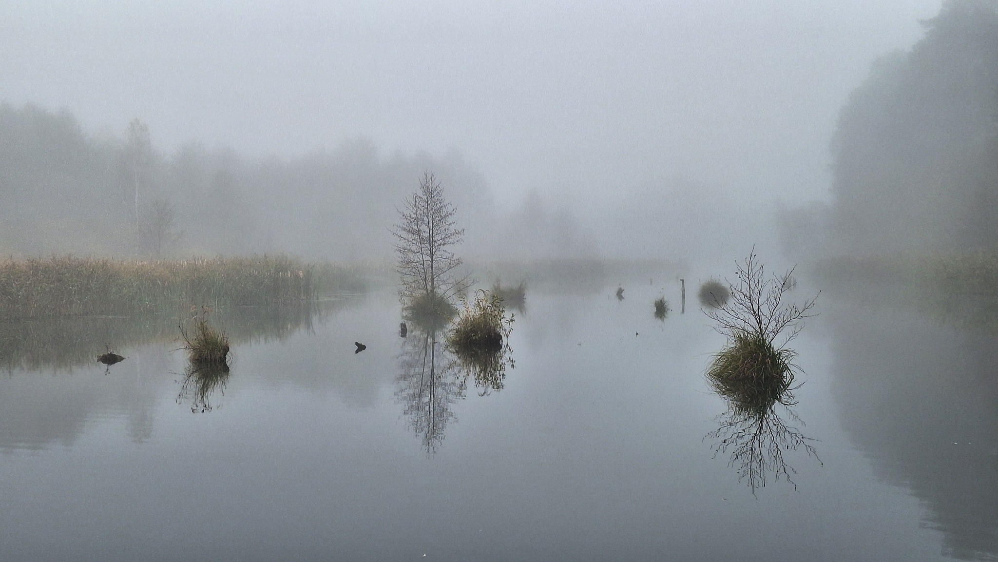 Fog - My, Fog, Lake, The photo, Water, Autumn