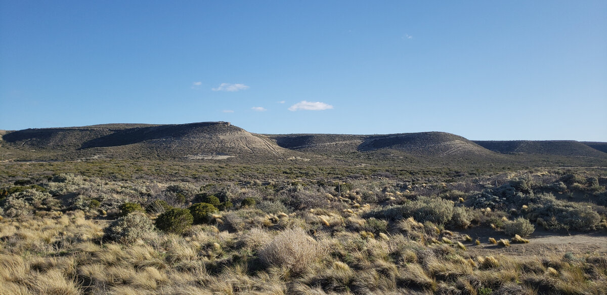 Cycling in strong winds - 55 km/h - My, Solo travel, Bike trip, A bike, Travels, South America, Argentina, Patagonia, Bike ride, Chile, Cyclist, Cycling, Road, Longpost