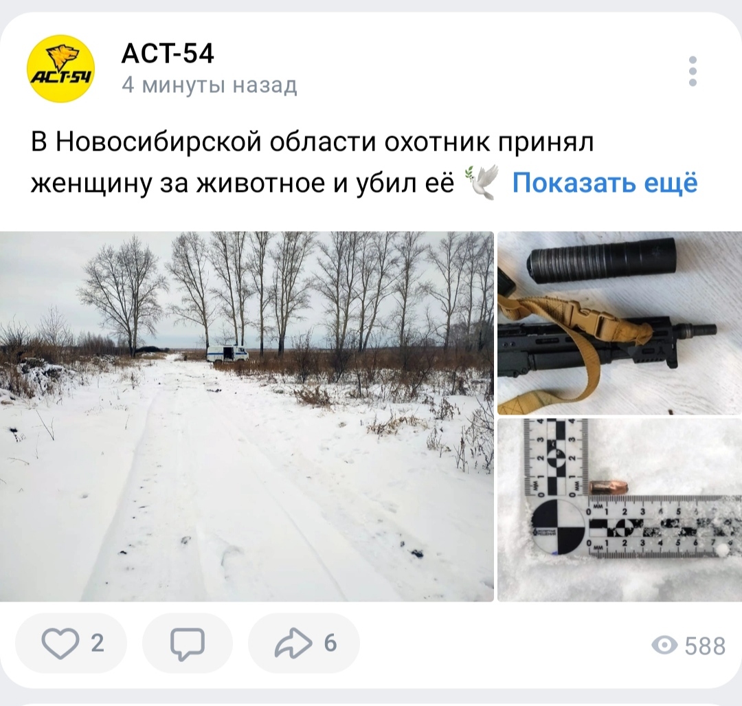 Scrolling through the feed - Black humor, news, Novosibirsk, Screenshot