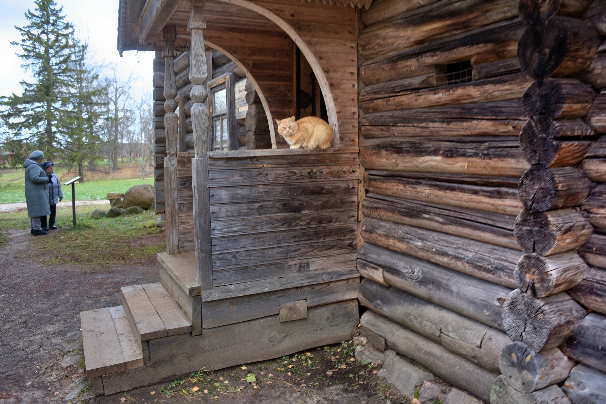 Museum of Wooden Architecture Vasilevo, Torzhok - My, The photo, Wooden house, Wooden architecture, Museum, Travel across Russia, sights, Longpost