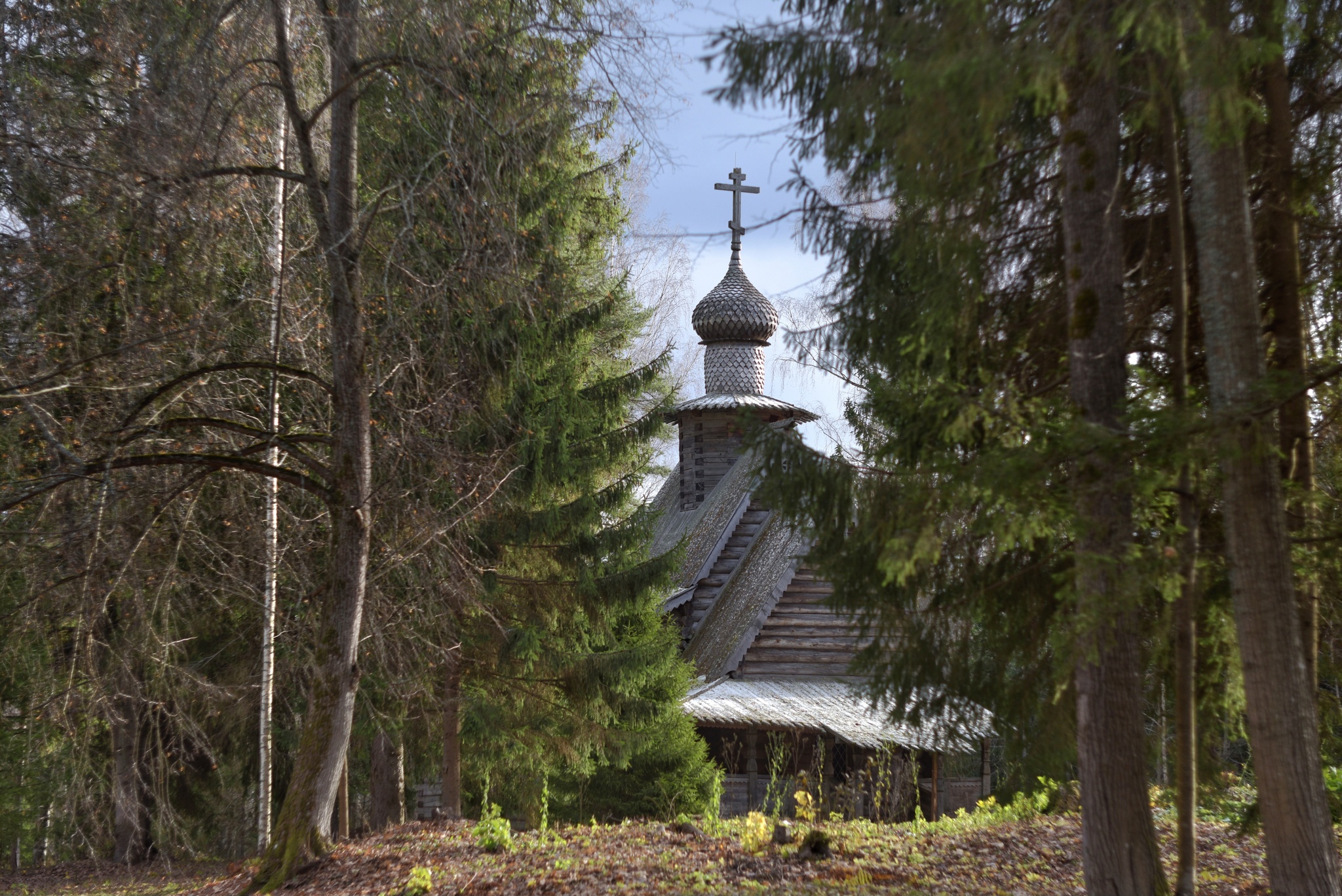 Museum of Wooden Architecture Vasilevo, Torzhok - My, The photo, Wooden house, Wooden architecture, Museum, Travel across Russia, sights, Longpost