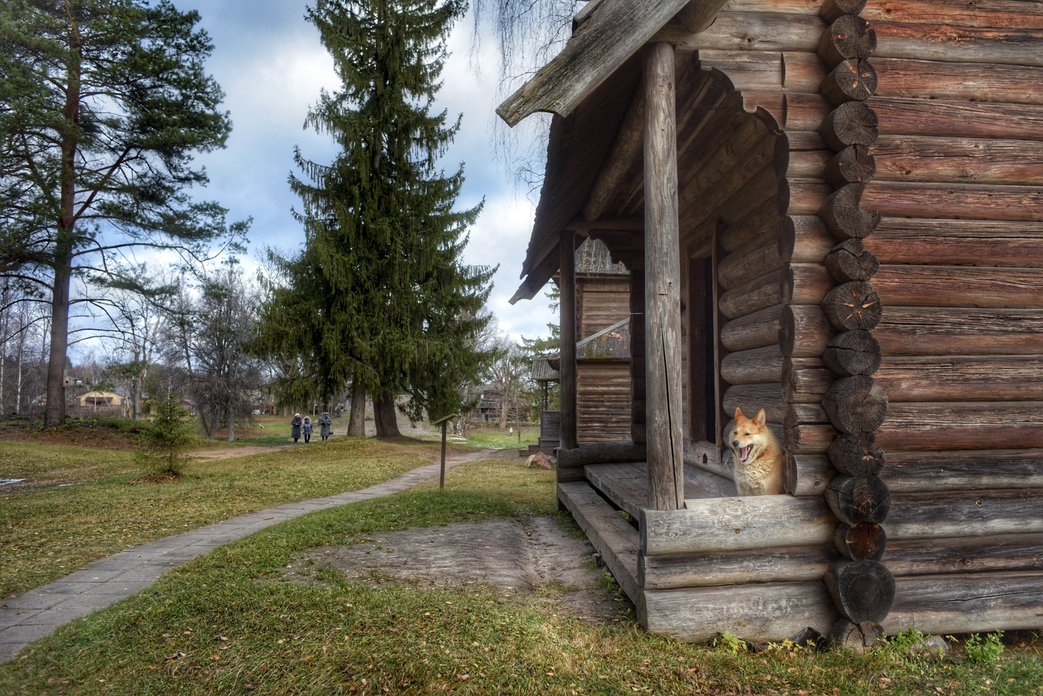 Museum of Wooden Architecture Vasilevo, Torzhok - My, The photo, Wooden house, Wooden architecture, Museum, Travel across Russia, sights, Longpost