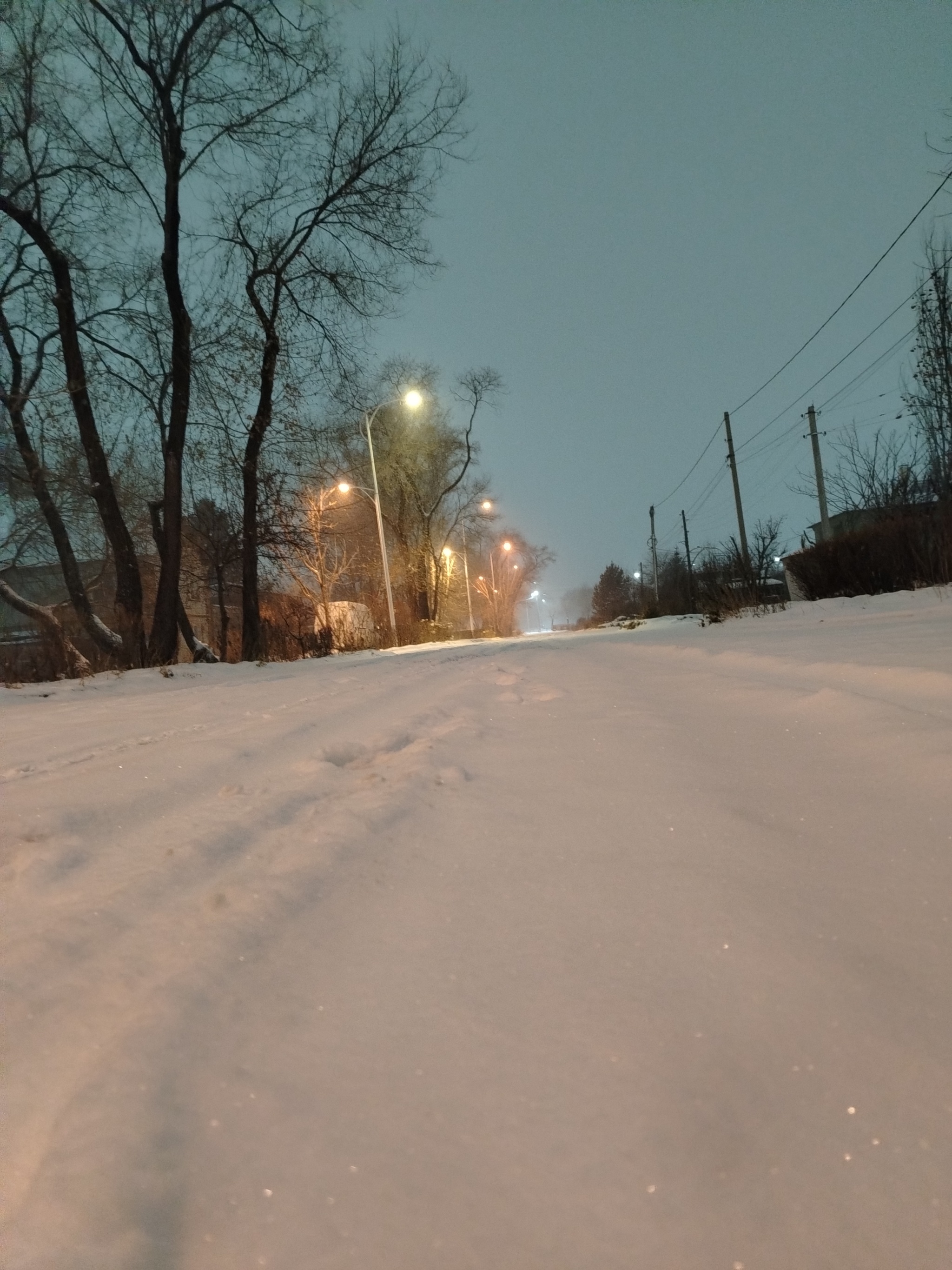 Snowy evening - My, Snow, Evening, Longpost