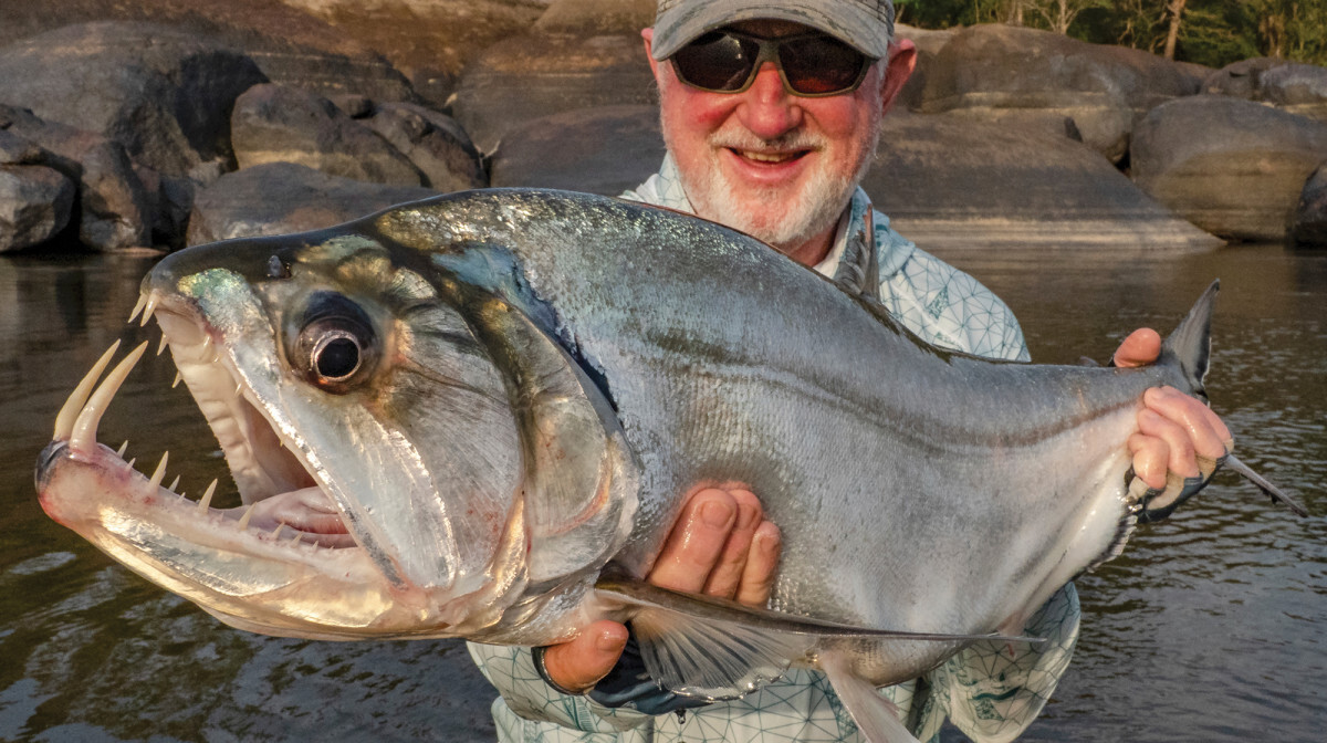 Toothy monster living in the river - My, Around the world, Biology, Nature, Animals, In the animal world, A fish, Fishing, The photo, Longpost, Water, Marine life, River