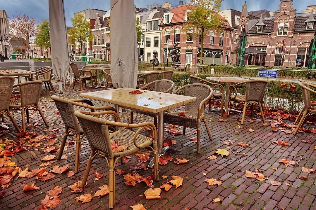 Autumn in the city - My, The photo, Nature, Netherlands (Holland), Autumn leaves, City walk