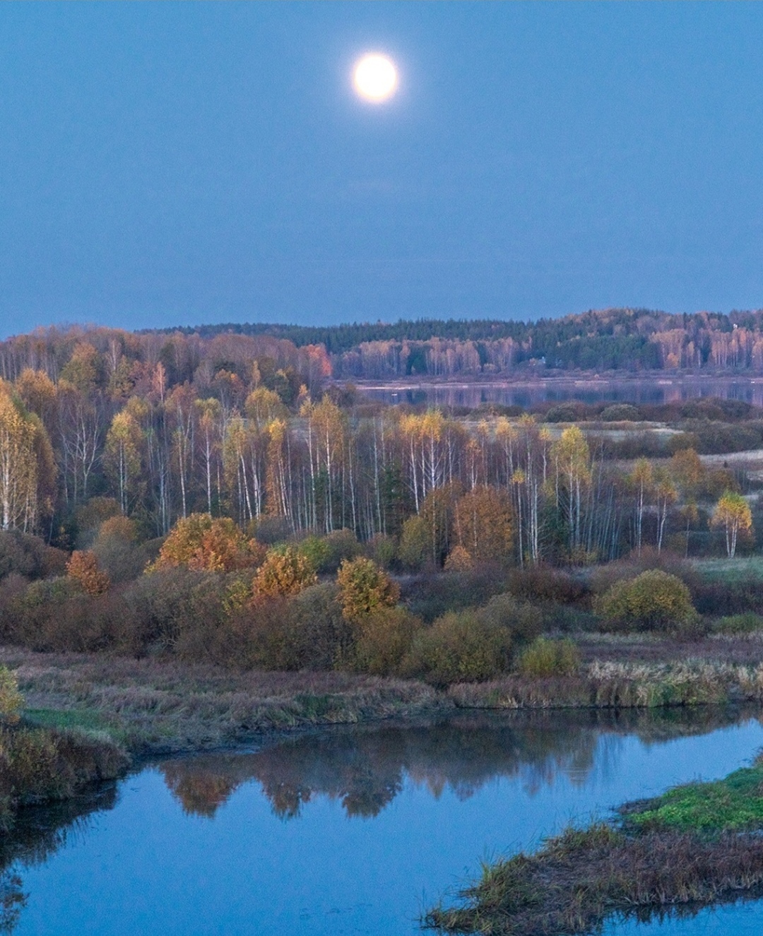 Savkina Gorka is one of Pushkin's favorite places, he wanted to spend his old age here, the Pushkin estate was nearby, Pskov region - The photo, Nature, Pskov region