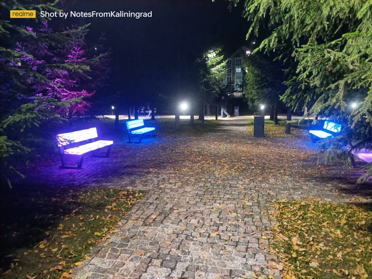 Gurevsky Park of Culture and Recreation in the Light Park mode - My, Kaliningrad, Kaliningrad region, City walk, Street photography, The photo, Lighting, The park, Night, Art, Longpost