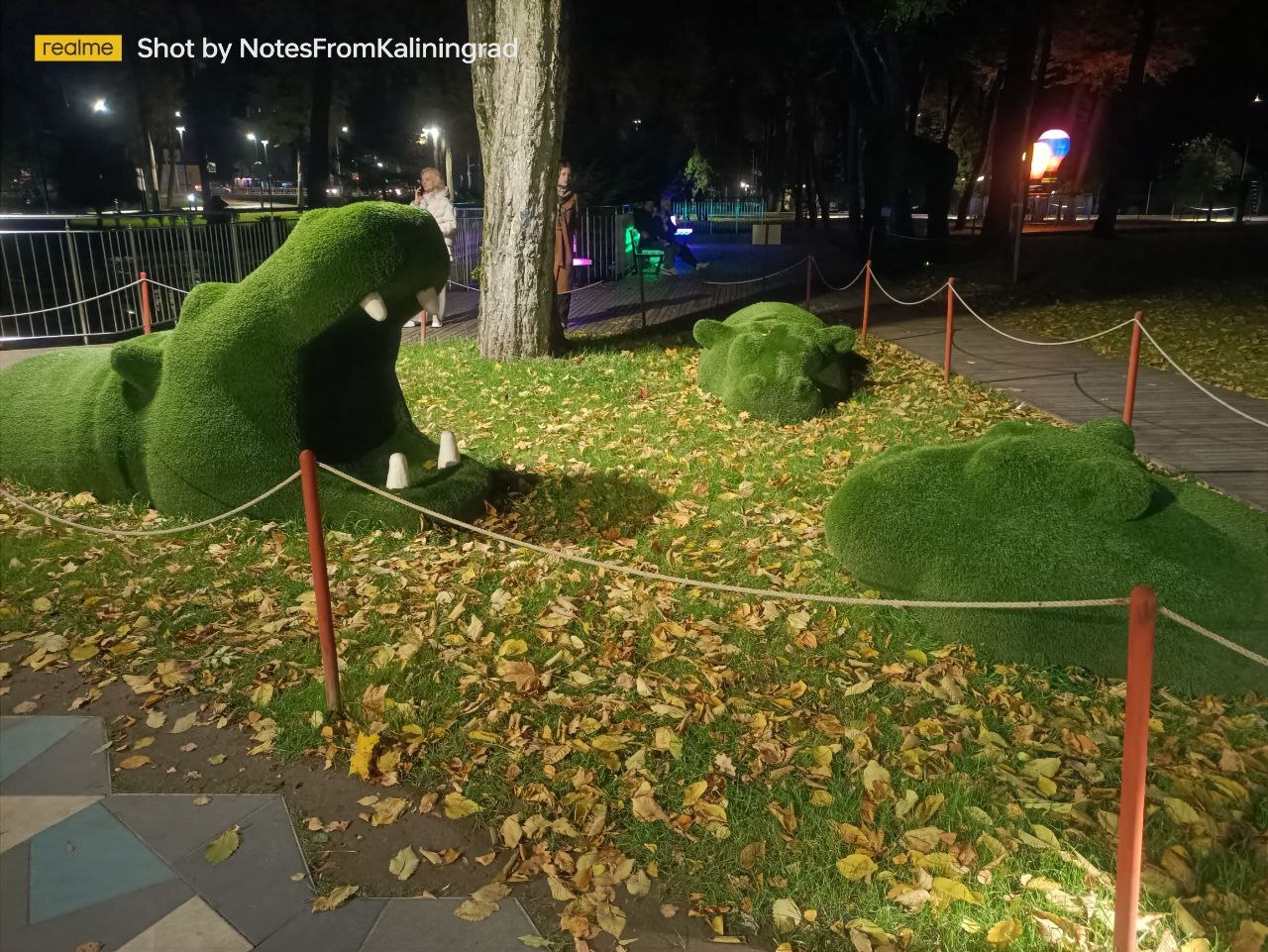 Gurevsky Park of Culture and Recreation in the Light Park mode - My, Kaliningrad, Kaliningrad region, City walk, Street photography, The photo, Lighting, The park, Night, Art, Longpost