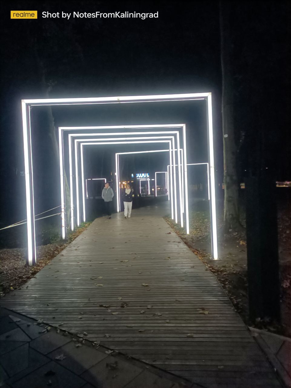 Gurevsky Park of Culture and Recreation in the Light Park mode - My, Kaliningrad, Kaliningrad region, City walk, Street photography, The photo, Lighting, The park, Night, Art, Longpost