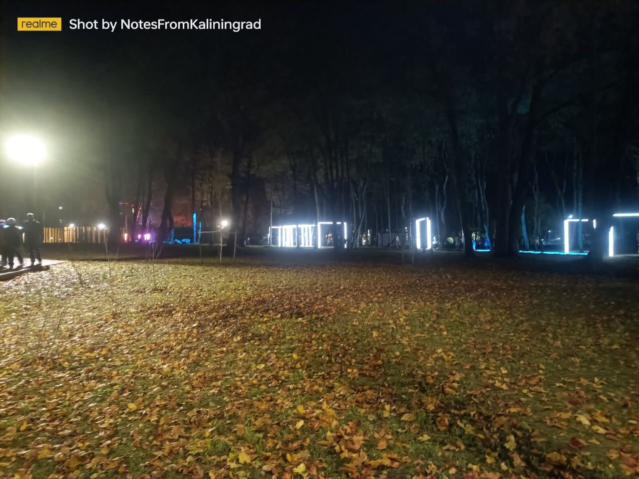 Gurevsky Park of Culture and Recreation in the Light Park mode - My, Kaliningrad, Kaliningrad region, City walk, Street photography, The photo, Lighting, The park, Night, Art, Longpost