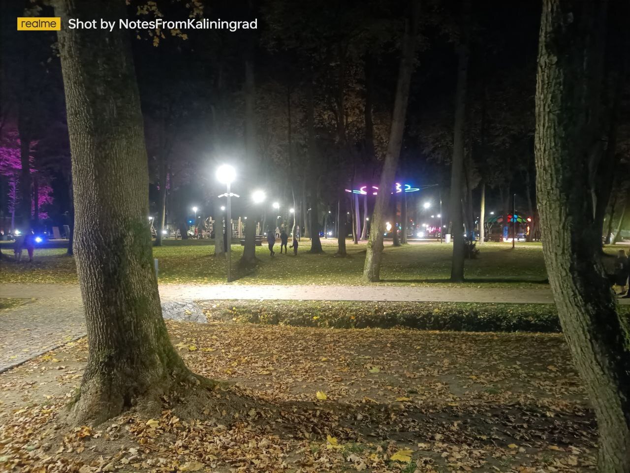 Gurevsky Park of Culture and Recreation in the Light Park mode - My, Kaliningrad, Kaliningrad region, City walk, Street photography, The photo, Lighting, The park, Night, Art, Longpost