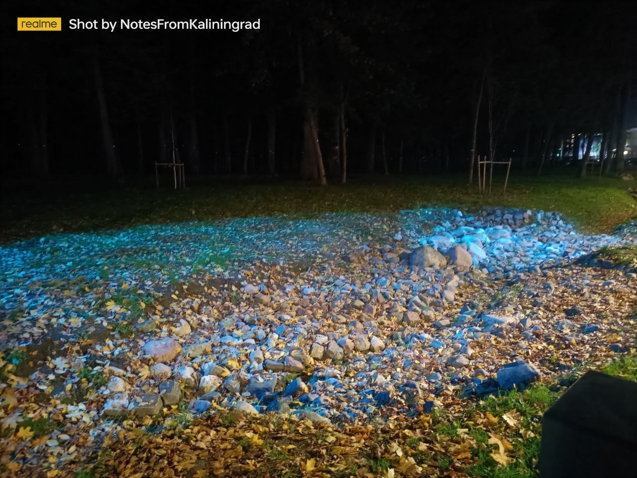 Gurevsky Park of Culture and Recreation in the Light Park mode - My, Kaliningrad, Kaliningrad region, City walk, Street photography, The photo, Lighting, The park, Night, Art, Longpost