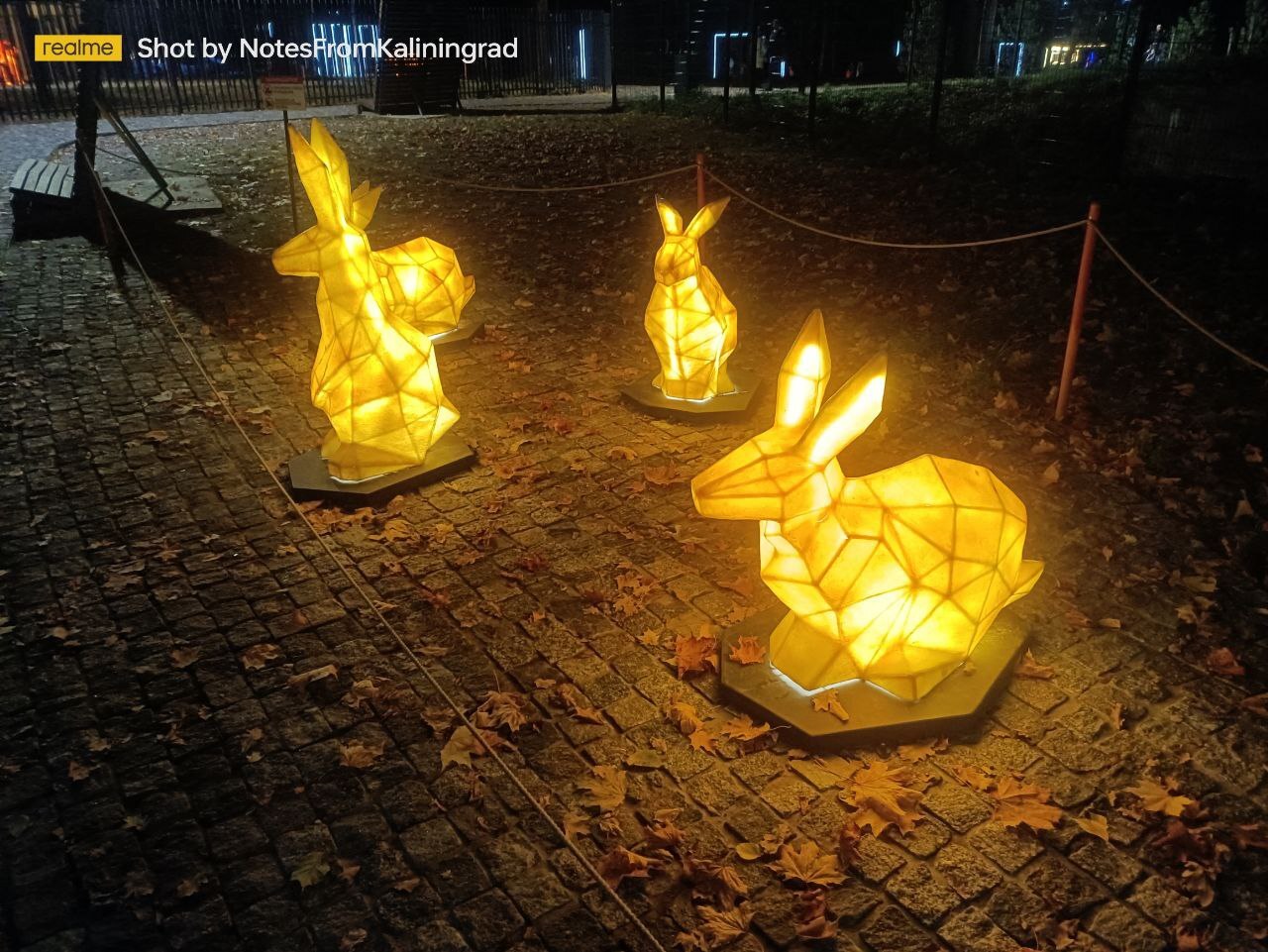 Gurevsky Park of Culture and Recreation in the Light Park mode - My, Kaliningrad, Kaliningrad region, City walk, Street photography, The photo, Lighting, The park, Night, Art, Longpost