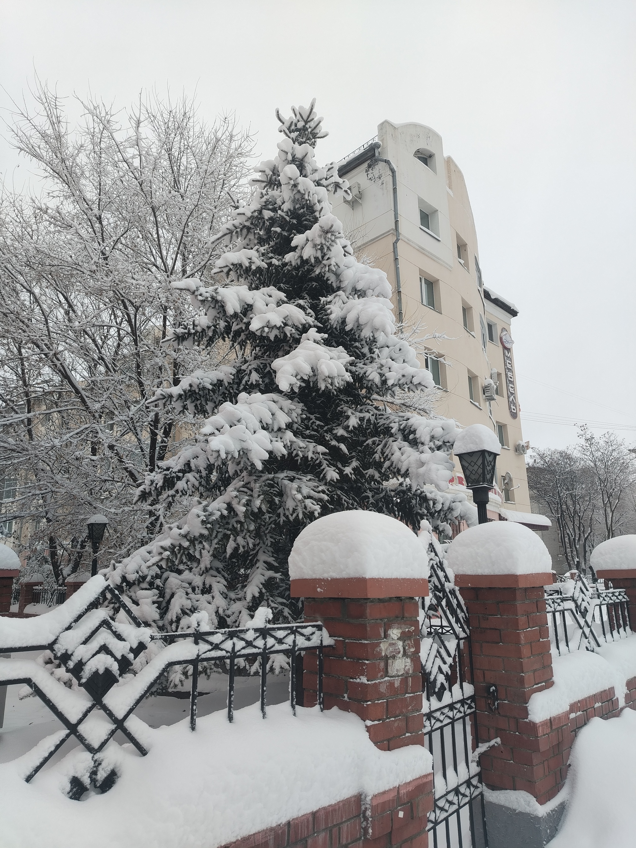 Collapse snow cyclone in Blagoveshchensk - My, Collapse, Snowfall, Longpost, Weather, Blagoveshchensk, The photo