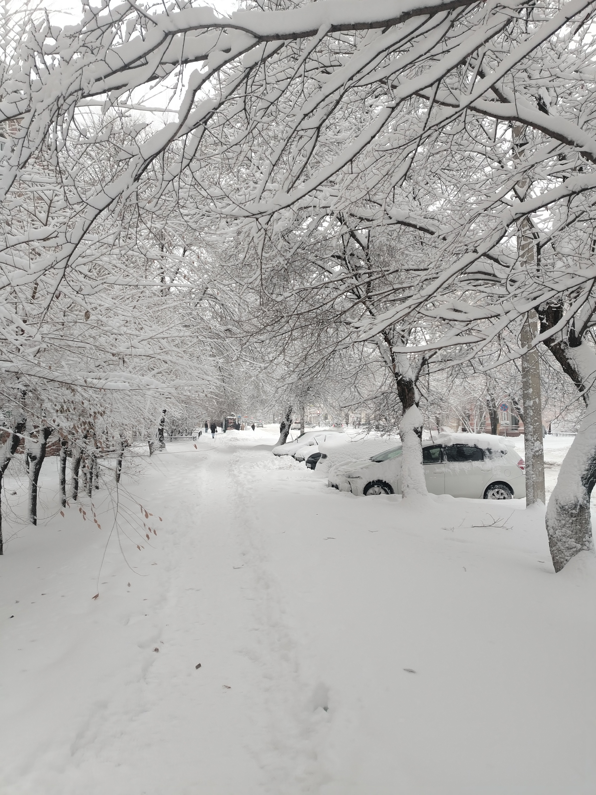 Collapse snow cyclone in Blagoveshchensk - My, Collapse, Snowfall, Longpost, Weather, Blagoveshchensk, The photo