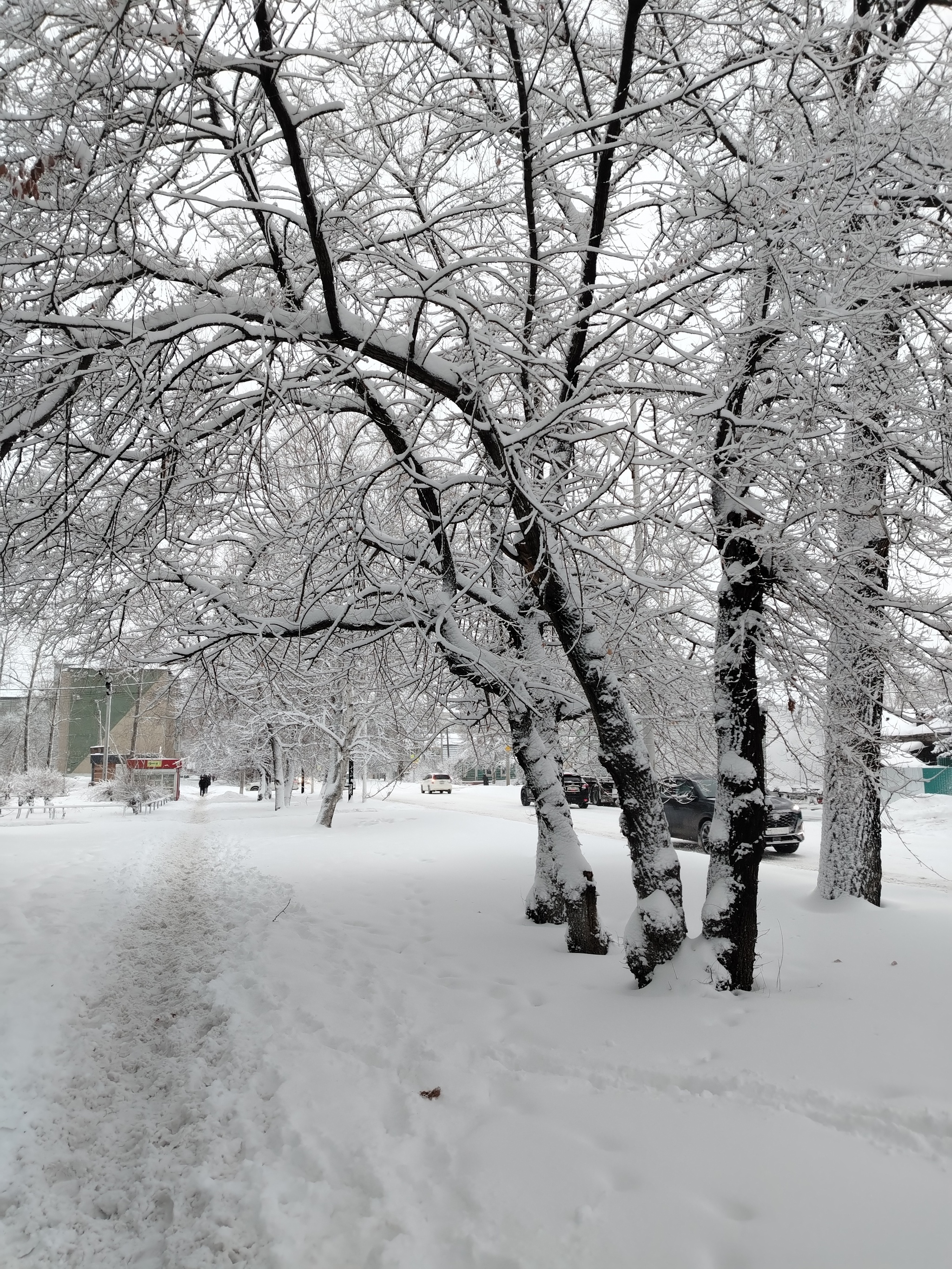 Collapse snow cyclone in Blagoveshchensk - My, Collapse, Snowfall, Longpost, Weather, Blagoveshchensk, The photo