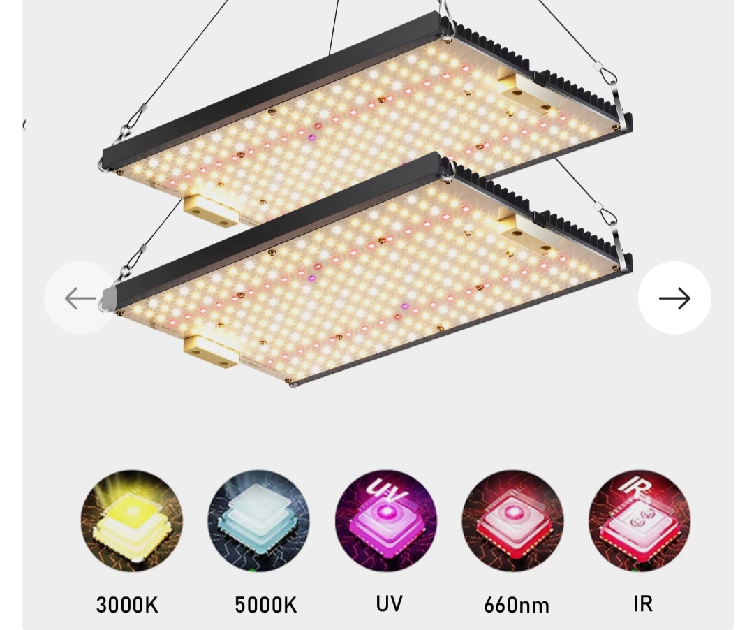 Grow Lights, How Do They Work? - AliExpress, Plants, Houseplants, Plant growing, Flowers, Growing, Electronics, Lamp, Phytolamp, Growth, Range, Lighting, Exotic plants, Products, Chinese goods, Longpost