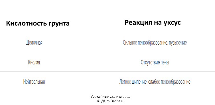 How to find out the acidity of the soil using folk methods at home - My, Soil, pH factor, Soil science, Fertility, Garden beds, Dacha, Garden, Garden, House, Gardening, Harvest, Longpost