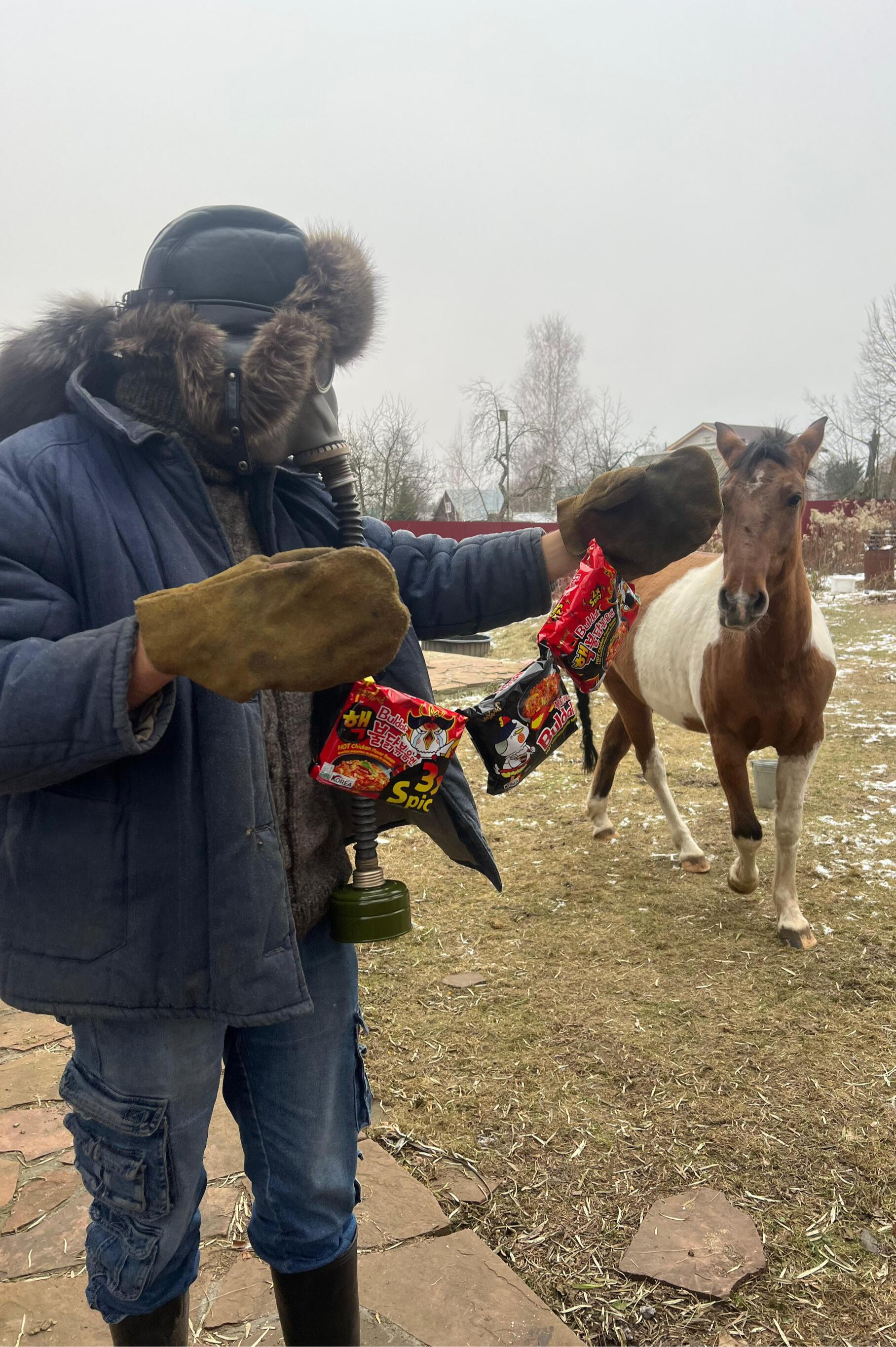 Острая лапша быстрого приготовления Buldak: лёгкое дуновение дьявольской преисподней - Моё, Лапша, Еда, Мужская кулинария, Видео вк, Доширак, Доширакология, Дегустация, Вкусняшки, Видео, Длиннопост