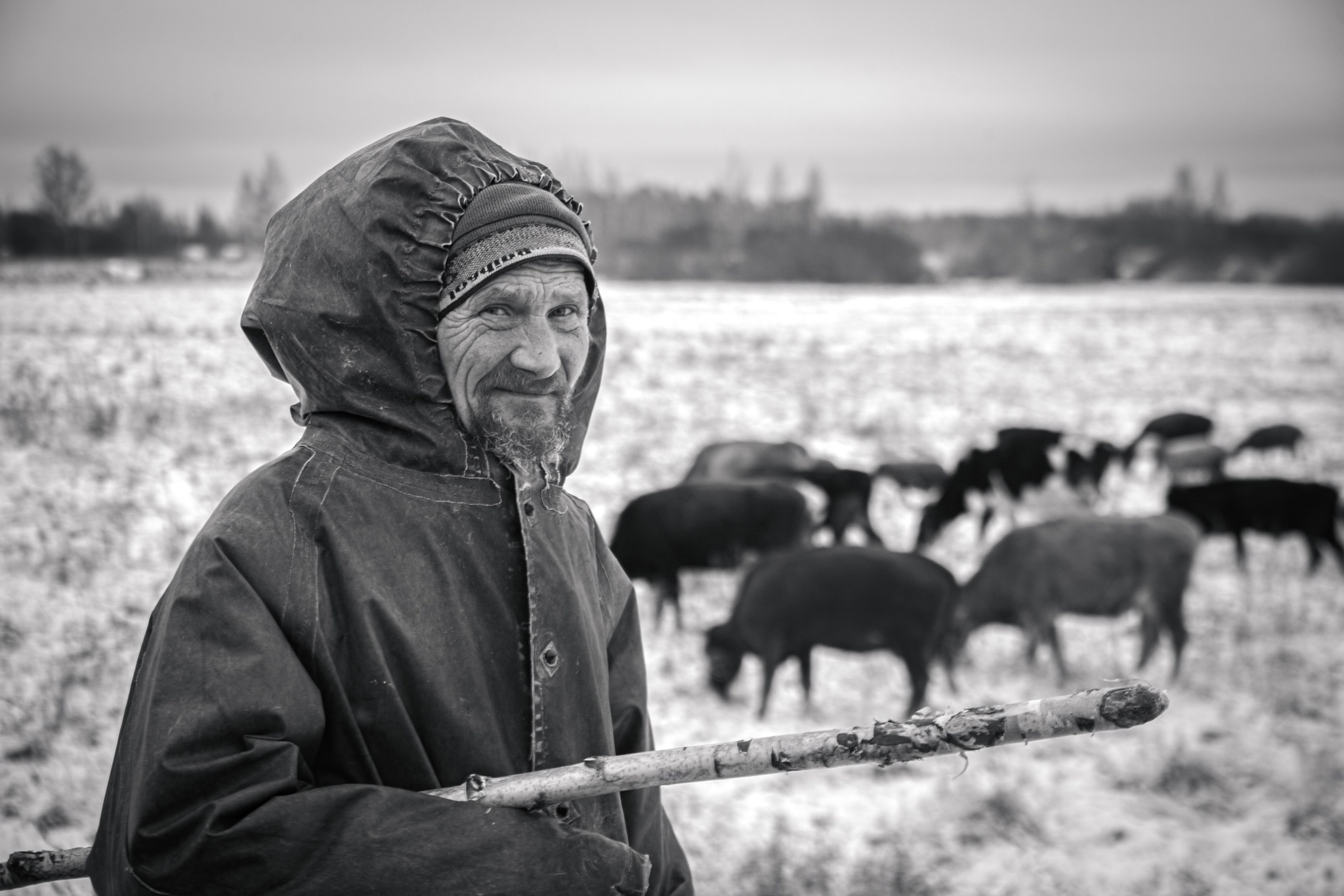 Tell him how tired you are in the office... - My, The photo, Village, Country people, Shepherd