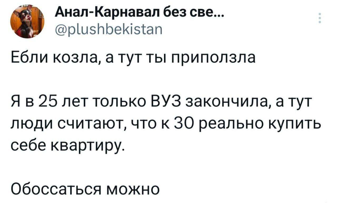 Реально? - Юмор, Мат, Квартира, Квартирный вопрос, Скриншот, Рассуждения, Мемы, Telegram (ссылка), Волна постов