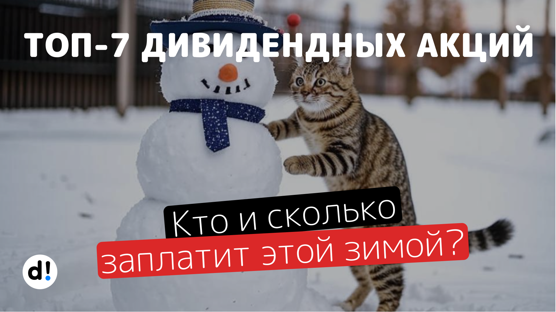 ТОП-7 дивидендных акций этой зимой. Кто заплатит больше всех? - Моё, Дивиденды, Инвестиции в акции, Фондовый рынок, Акции, Финансы, Telegram (ссылка), Длиннопост