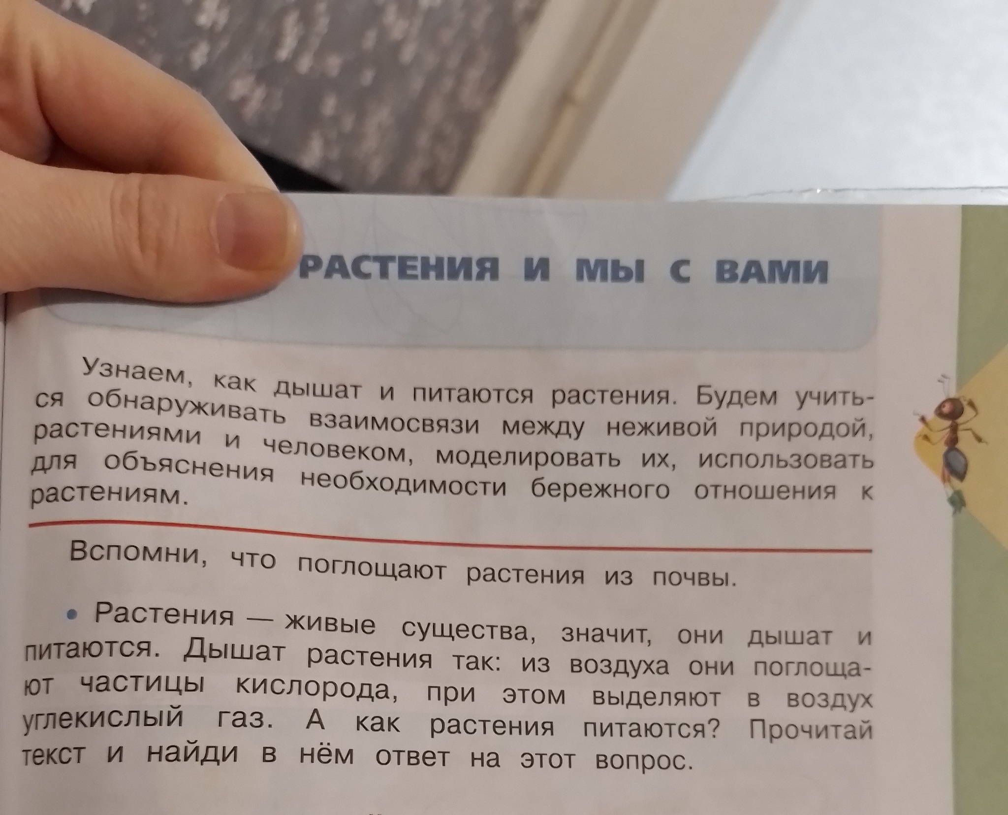 Таки что у нас все таки выделяют растения? - Моё, Школа, Окружающий мир, Учебник, Мат